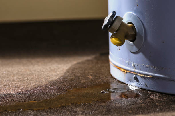 Best Carpet water damage restoration  in Westhaven Moonstone, CA