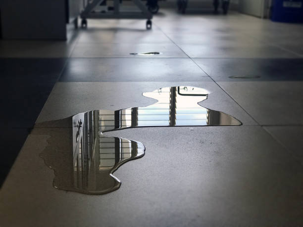 Best Professional water damage repair  in Westhaven Moonstone, CA