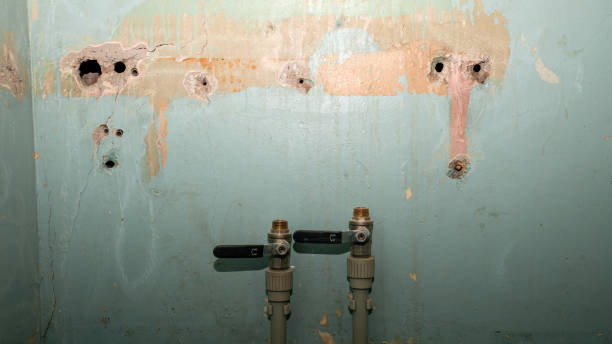 Best Water damage contractors near me  in Westhaven Moonstone, CA