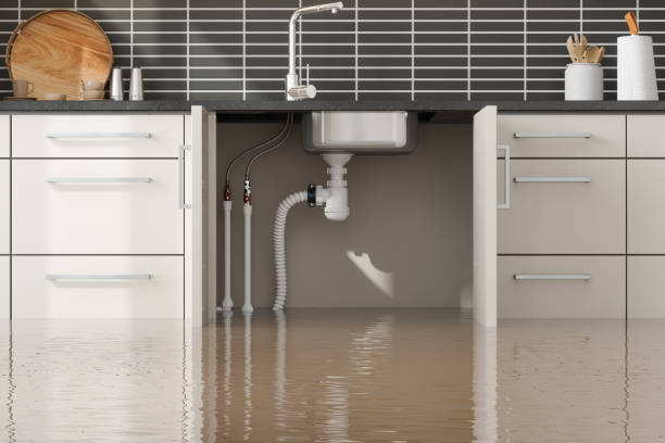 Best Ceiling water damage repair  in Westhaven Moonstone, CA